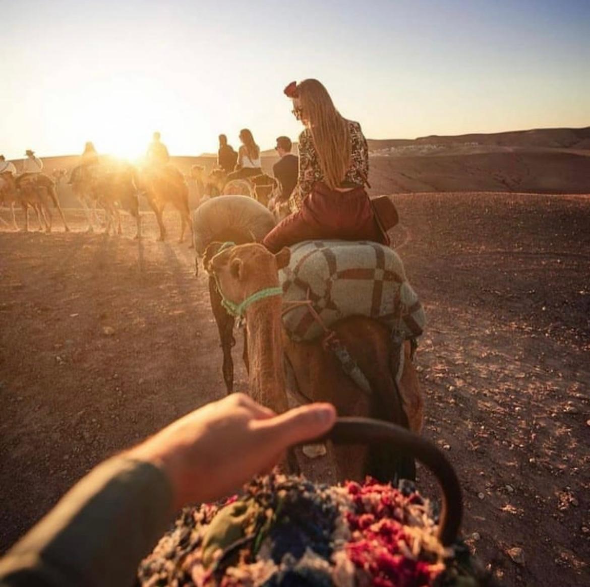 Camel Treks